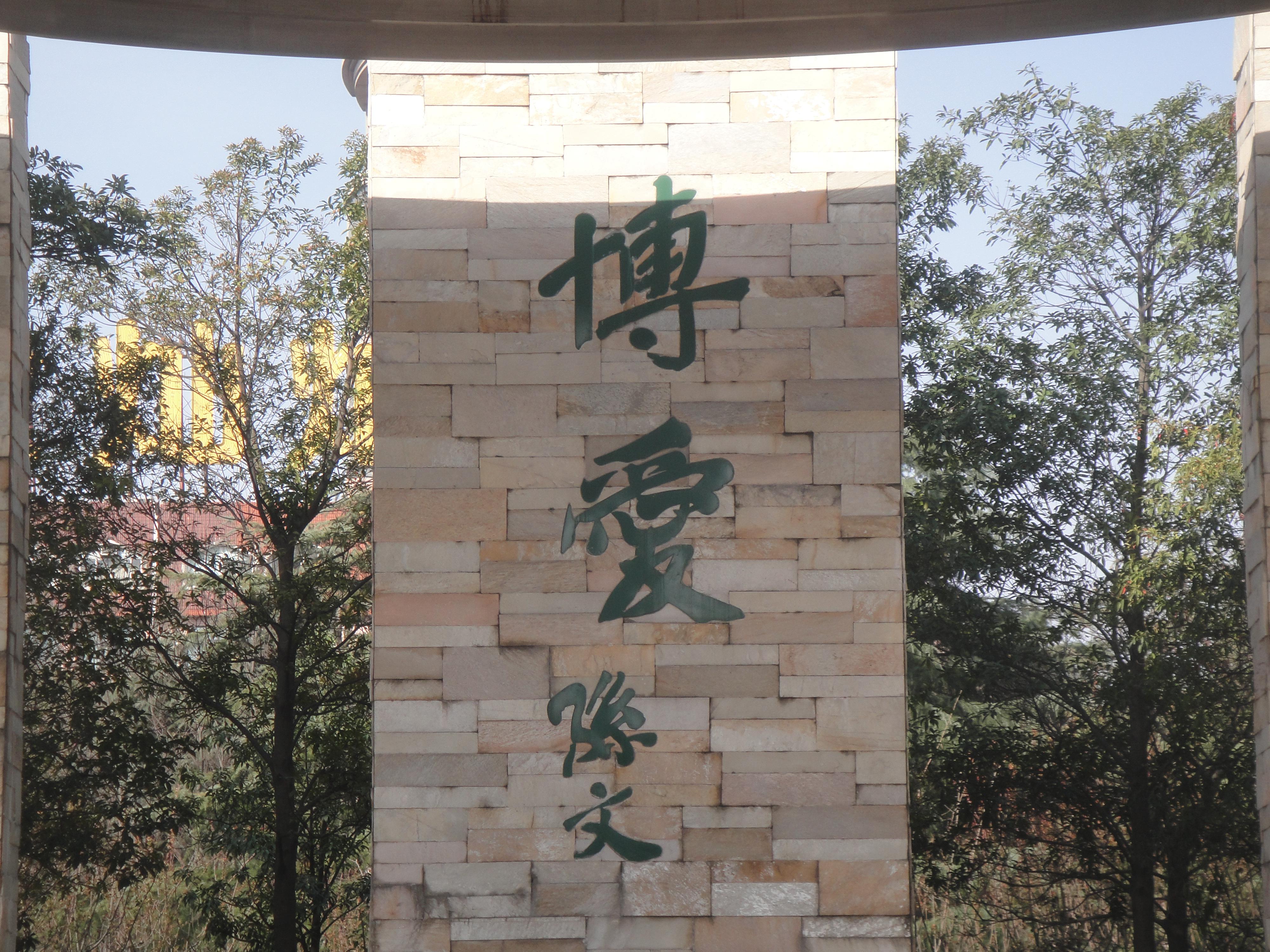 上海市红十字会网站 - 资料下载