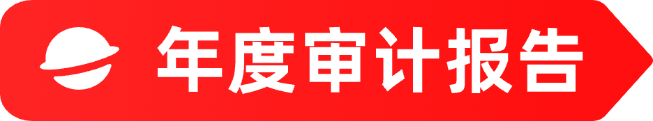 年度审计报告