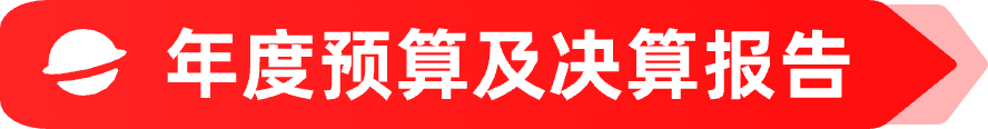 年度预算及决算报告